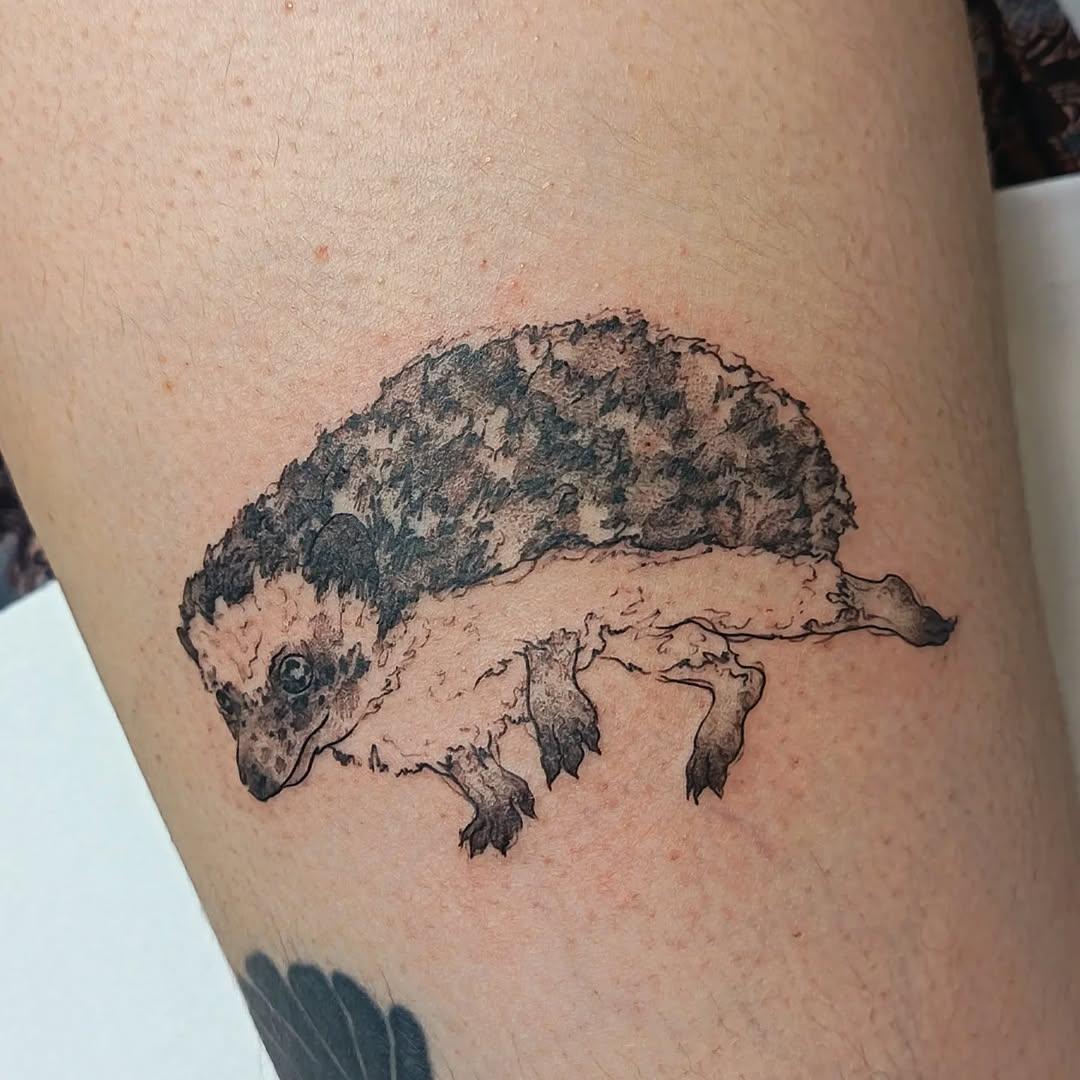 Tatouage hérisson mignon — cagnecanine