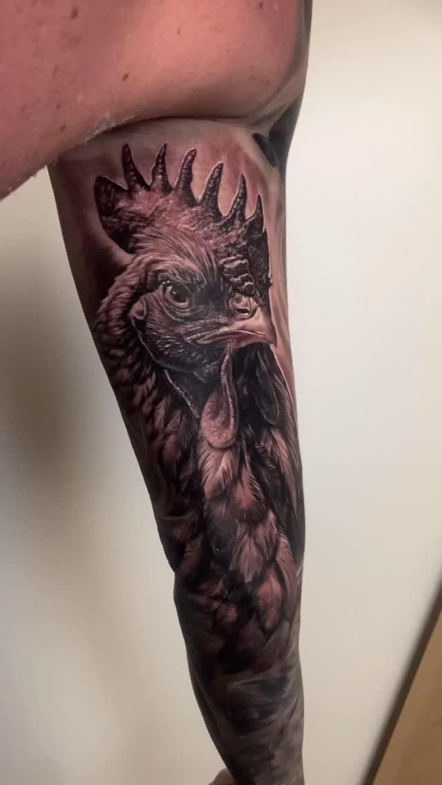 Tatouage Coq français réaliste — dark_spirit_tattoo