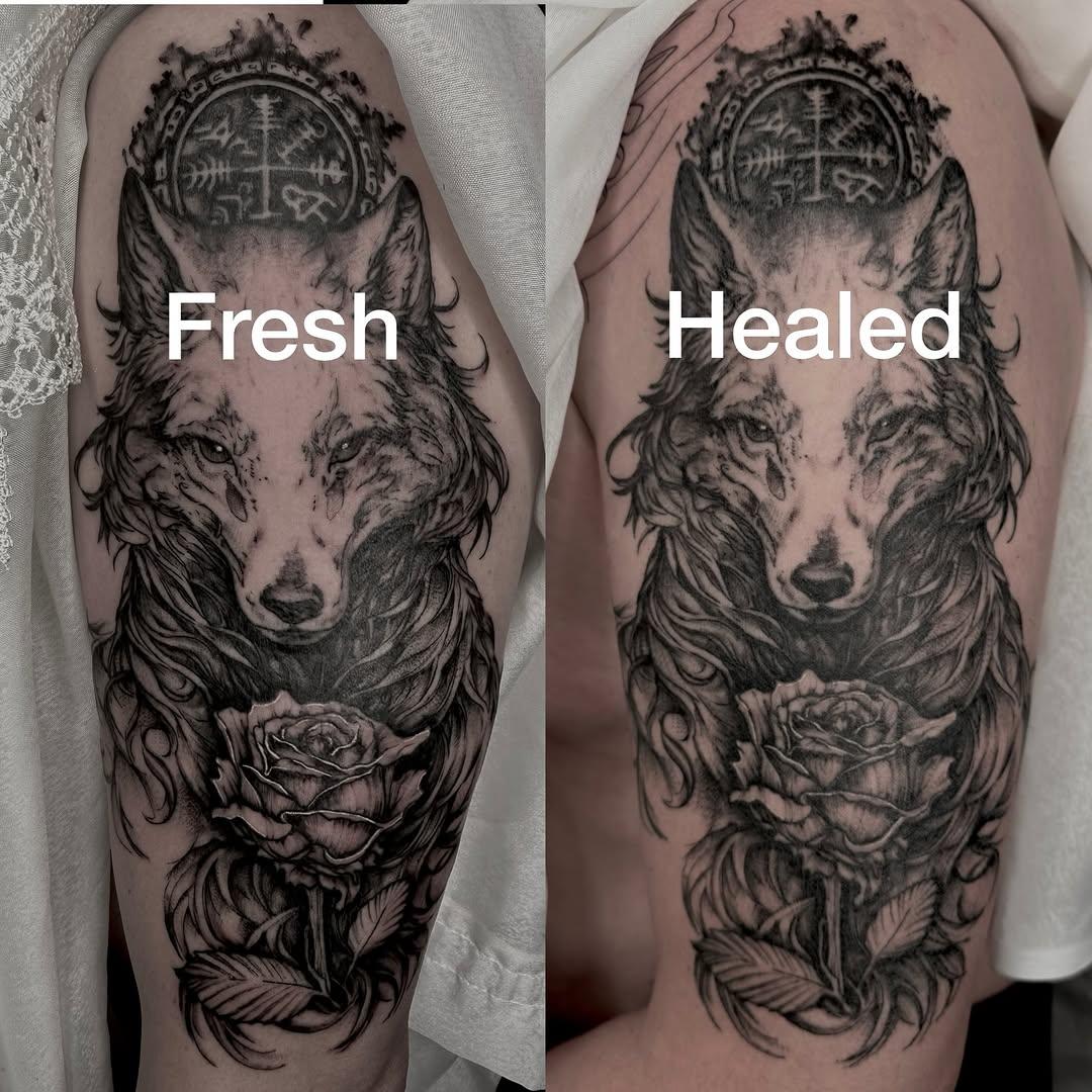 Loup blackwork, fresh vs cicatrisé — ocean.black___