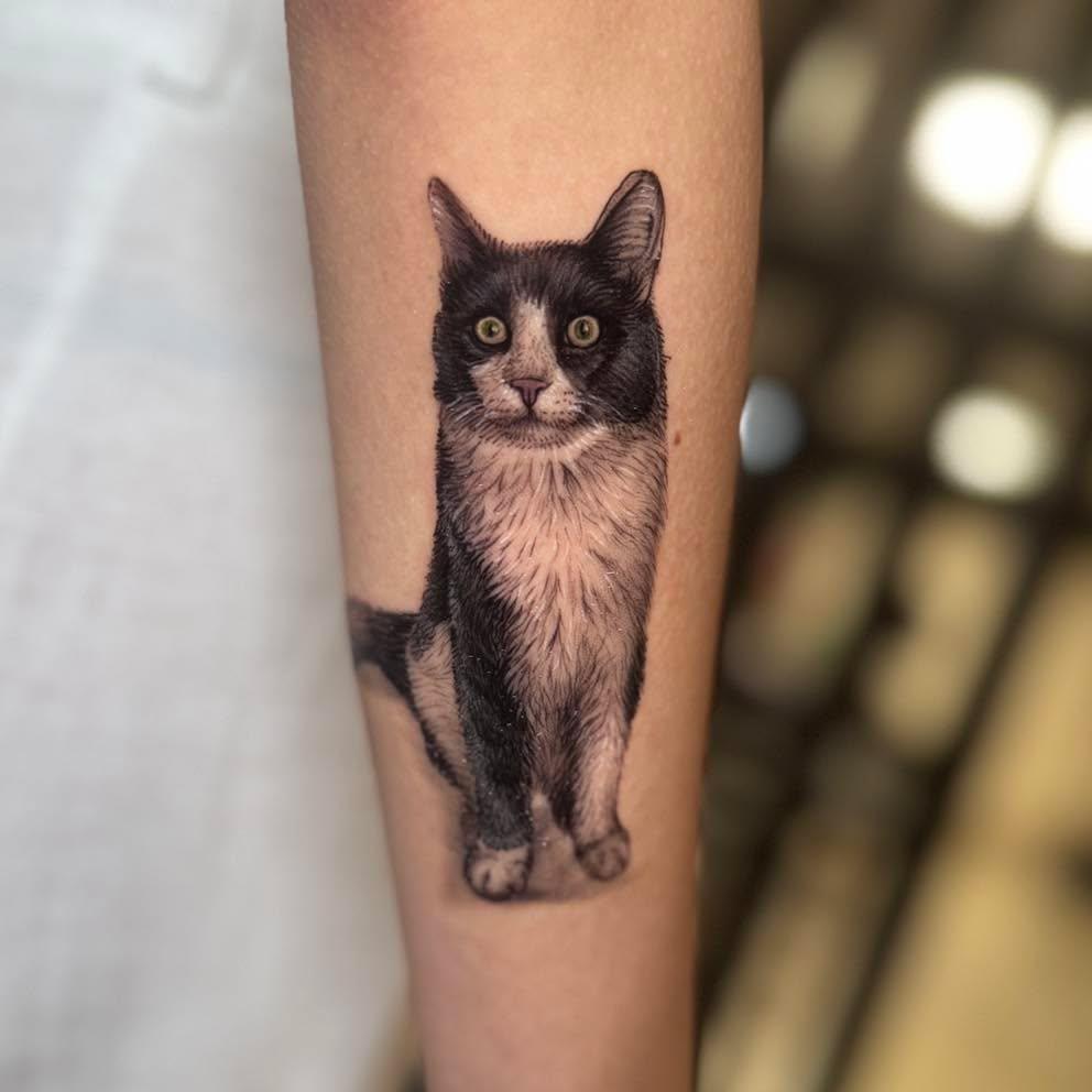 Tatouage Portrait chat Jüpi — beyazitink