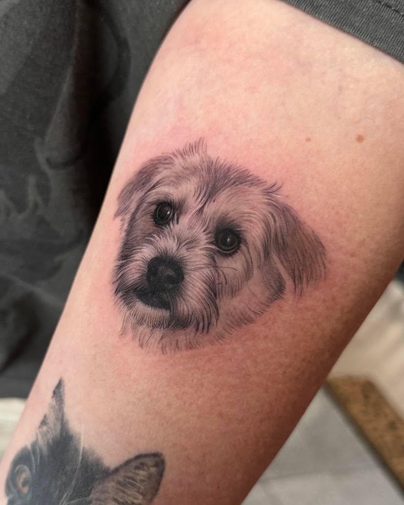 Tatouage Portrait chien Matti — beyazitink