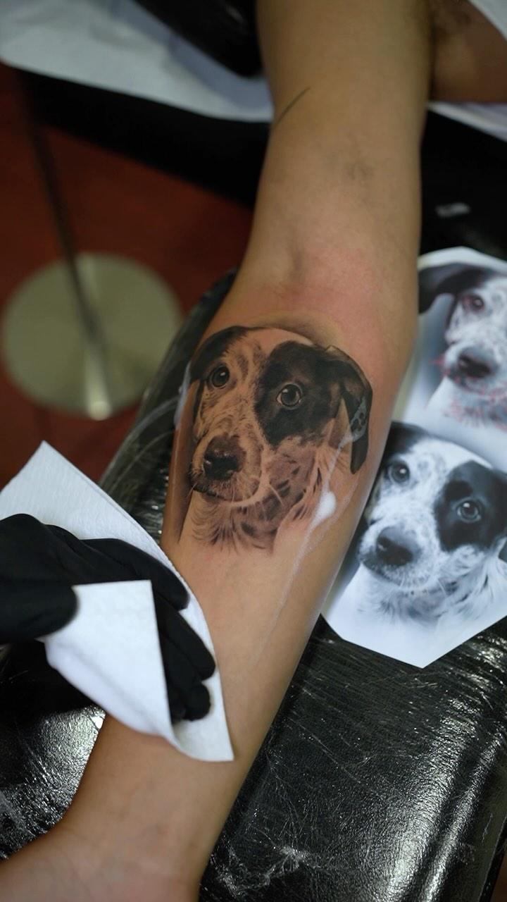 Tatouage Portrait chien réaliste — inzi.bc