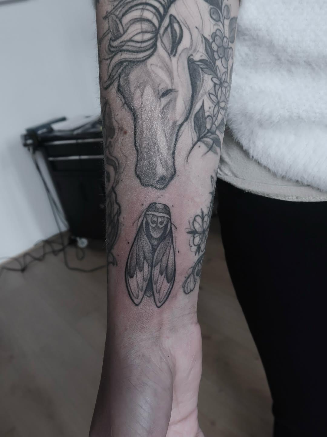 Tatouage cigale avec fleurs — knottattoo