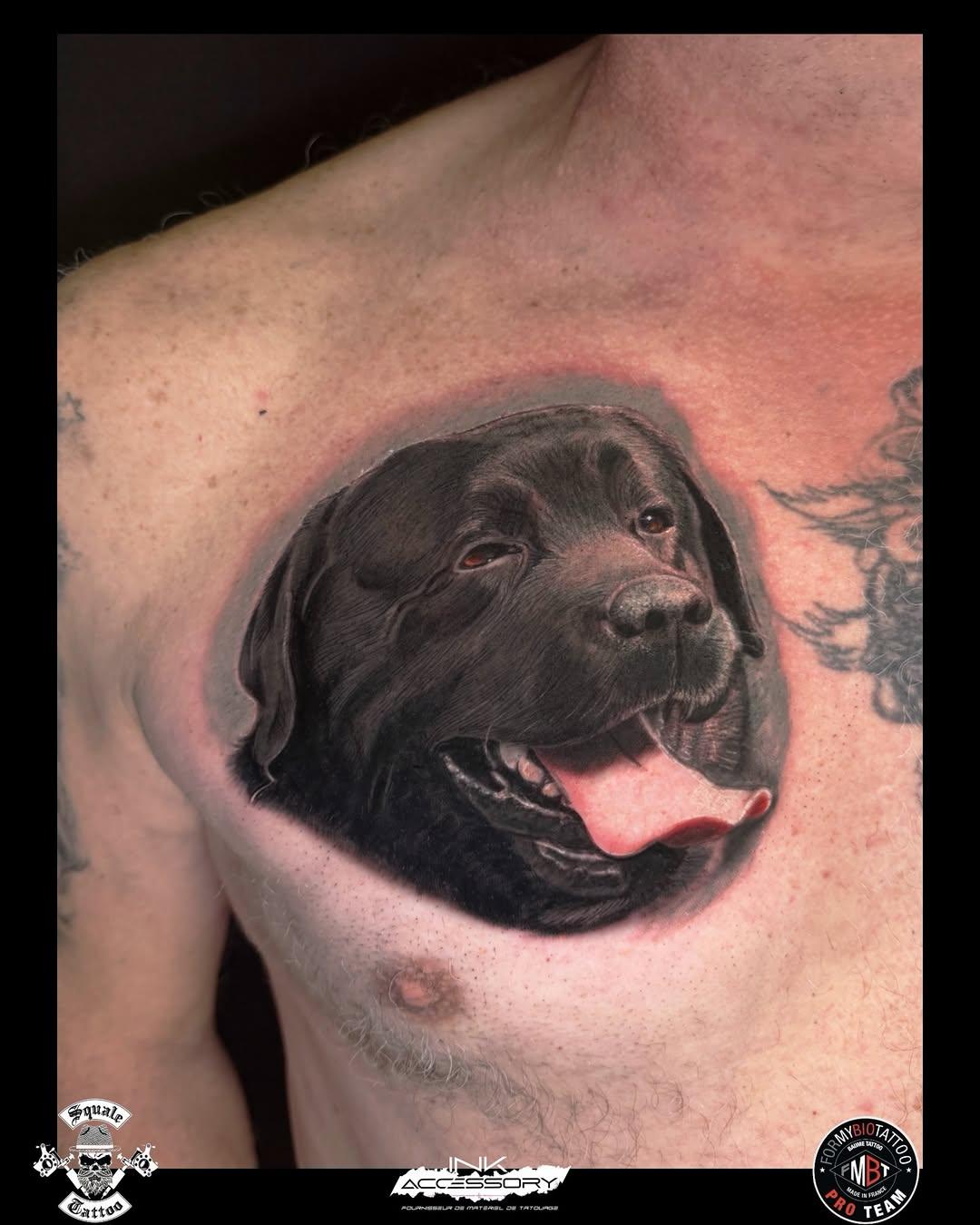 Tatouage Portrait chien réaliste — pascal_squaletattoo