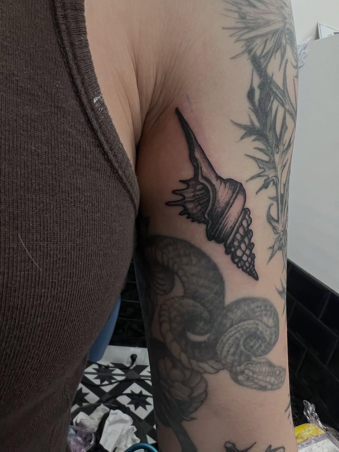 Coquillage blackwork, gapfiller — grofabtattoo