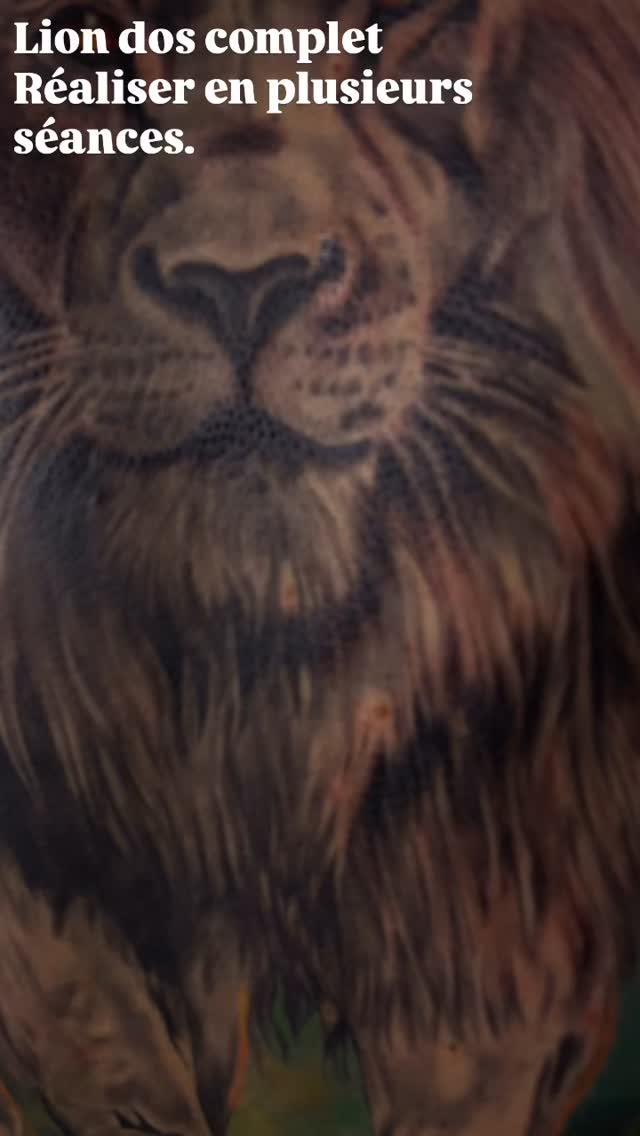 Tatouage Lion dos complet réaliste — dollinart
