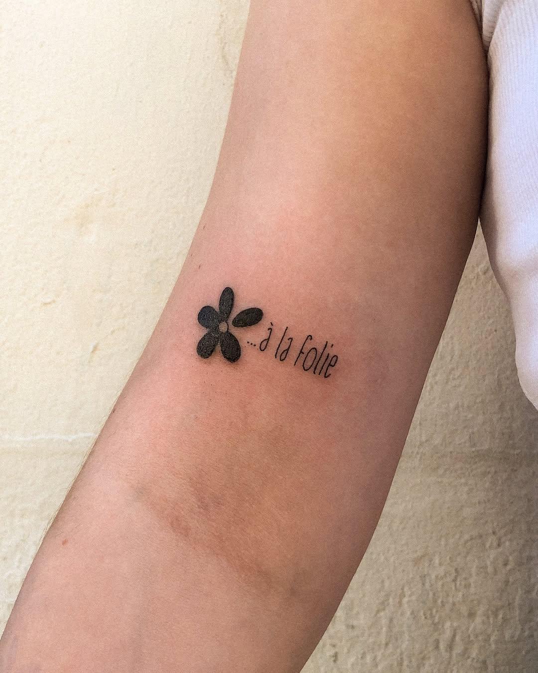 Petit flash adopté — _isolastudio_