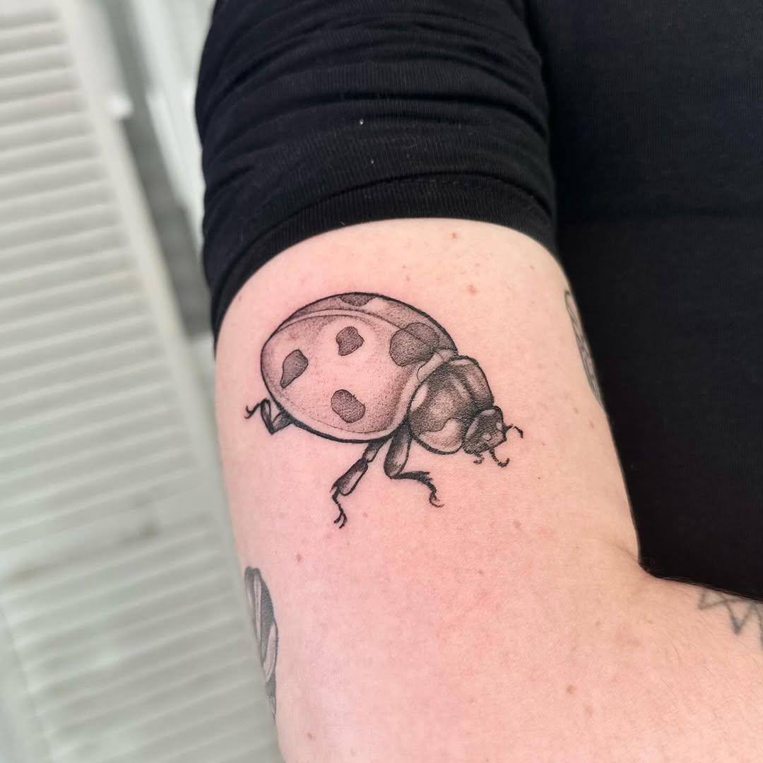 Flash coccinelle blackwork — l_skullkid_l