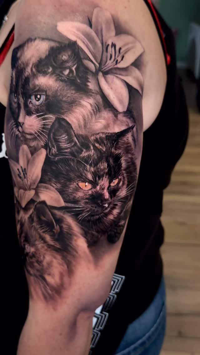 Portrait de chats réaliste black & grey — veyzart_tattoo