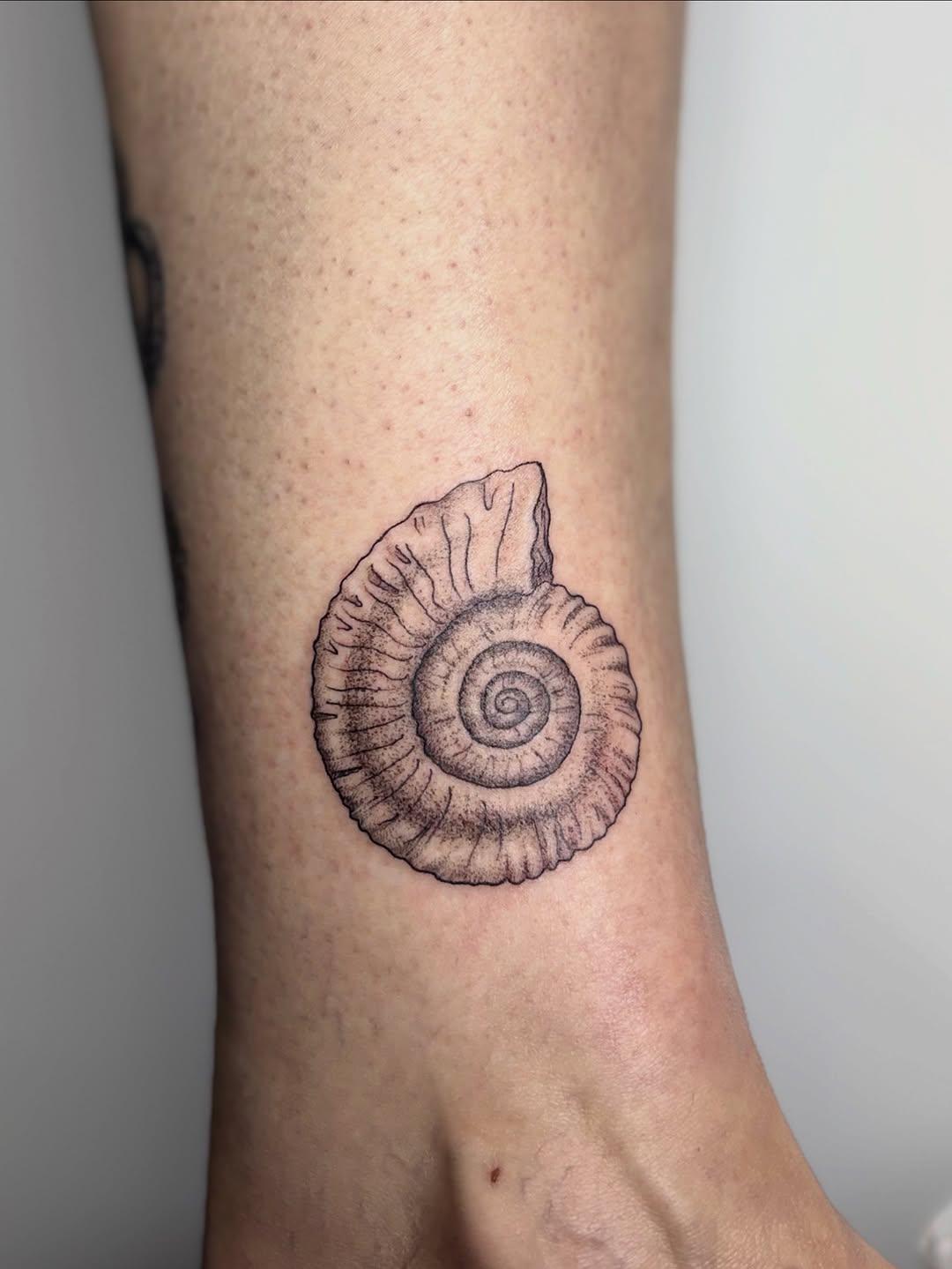 Ammonite freehand — cactussweetness.tattoo
