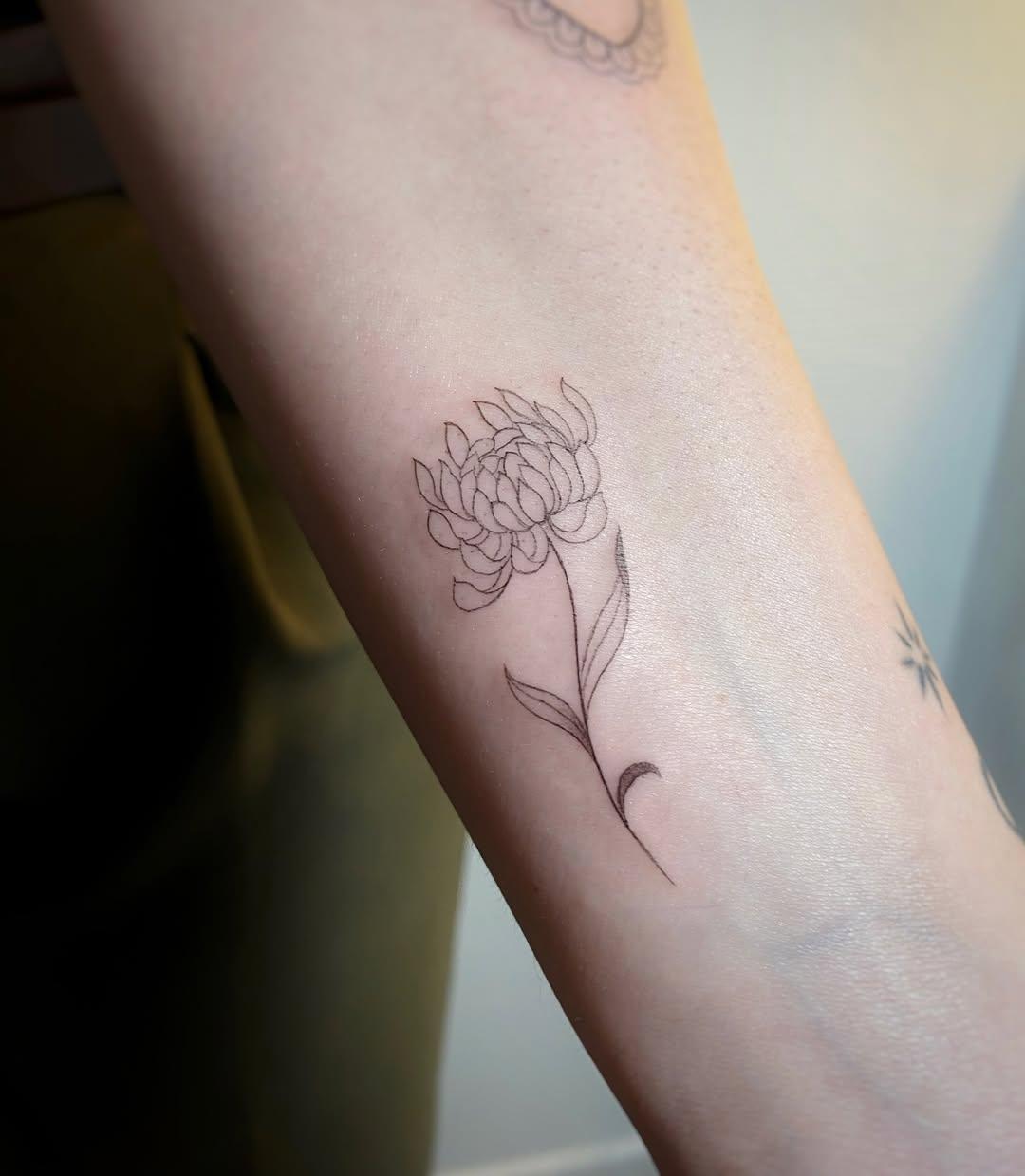 Chrysanthème fine line sur l'avant-bras — moons.snail