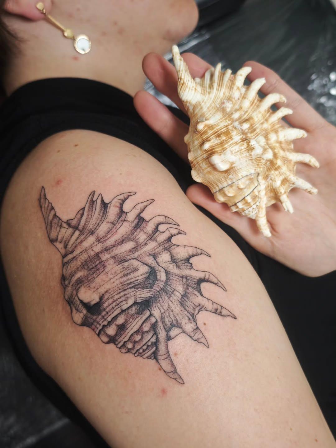 Tatouage Coquillage réaliste — chatodencre