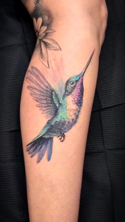 Colibri couleur freehand — sarahtattooos