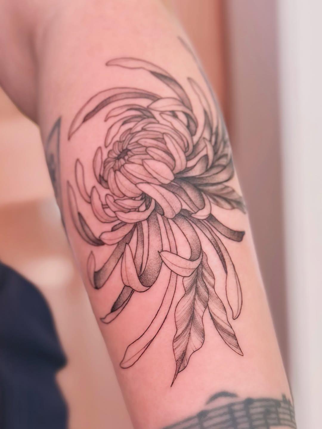 Tatouage chrysanthème avant-bras — gabyowl