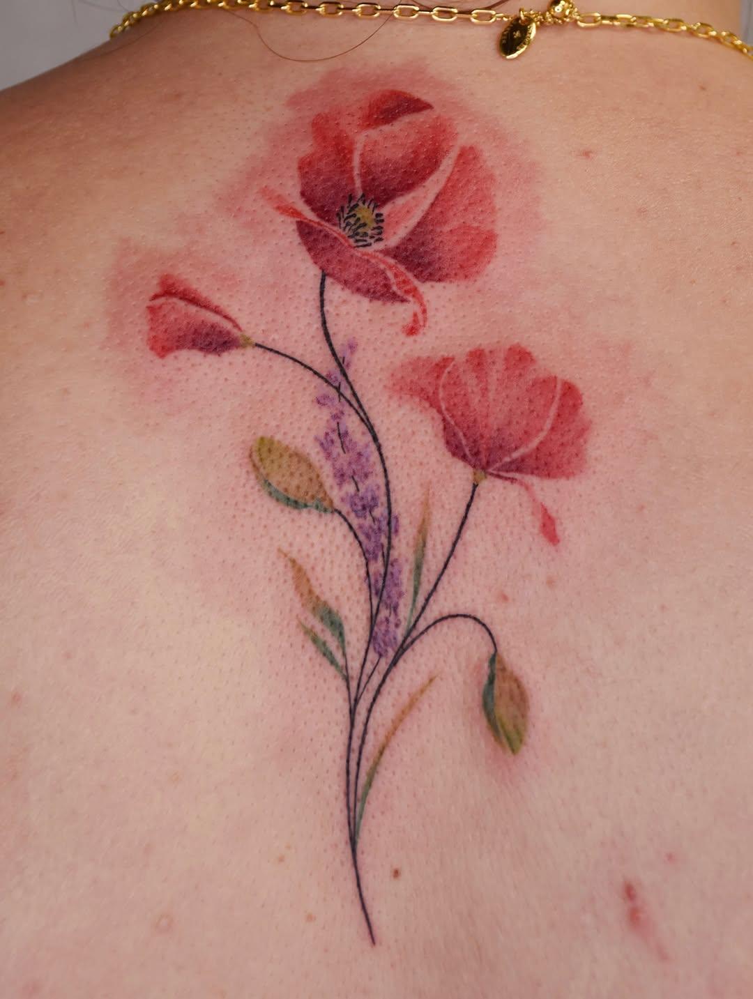 Coquelicot et lavande, aquarelle couleur — rose__epineuse