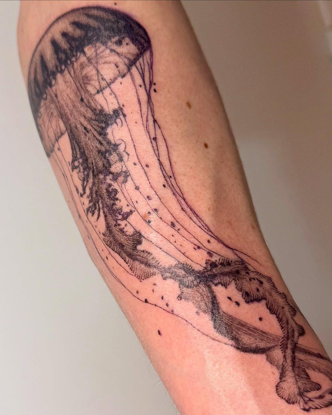 Tatouage Méduse réaliste — enorazmokettt