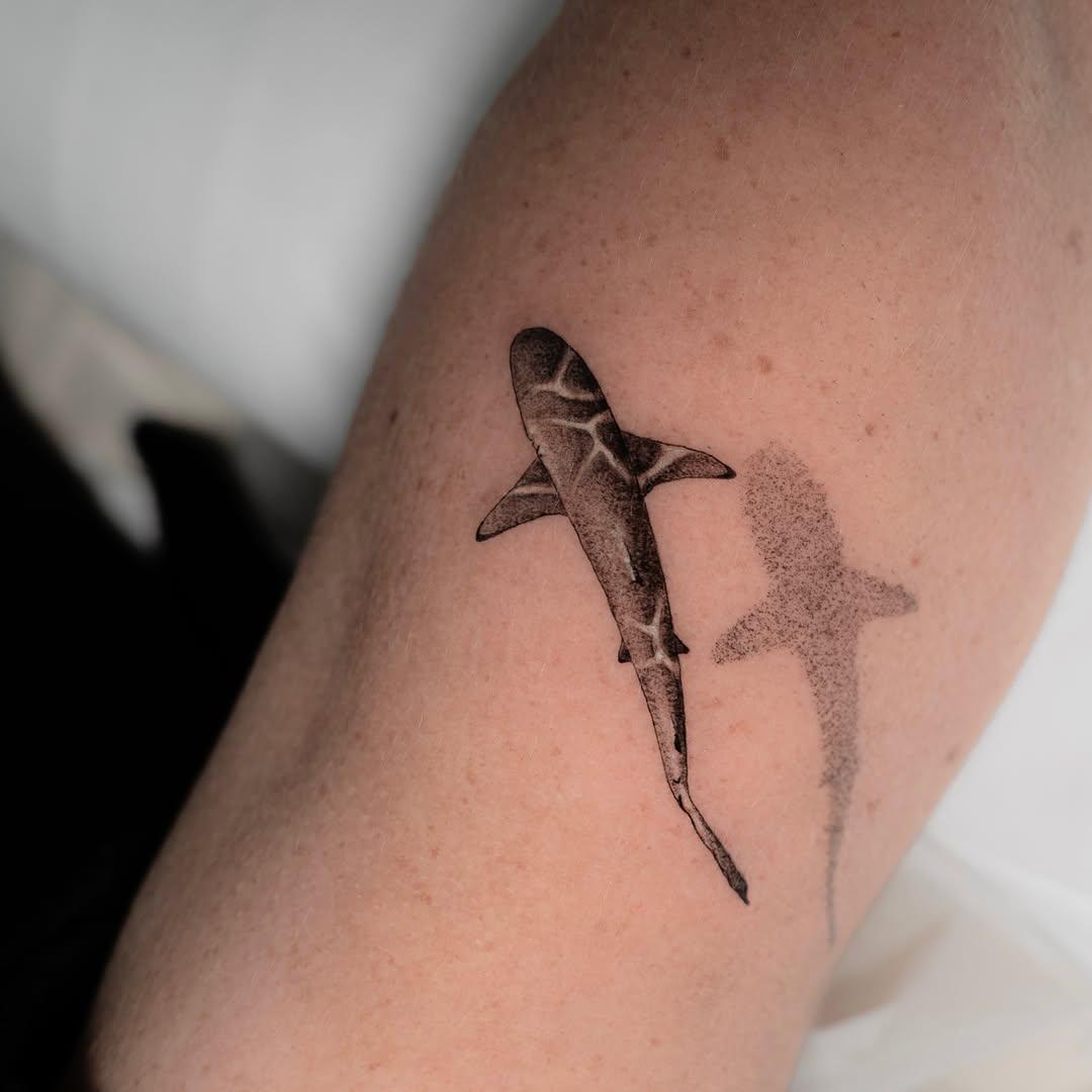 Tatouage requin blacktip bras — eklor.ttt