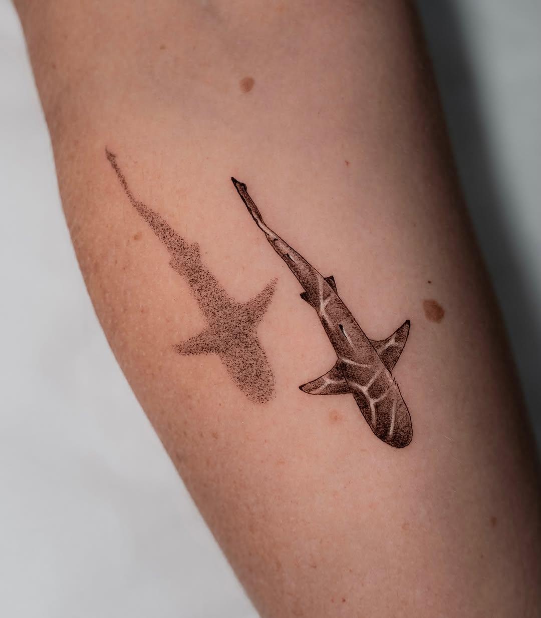 Tatouage requin blacktip jambe — eklor.ttt