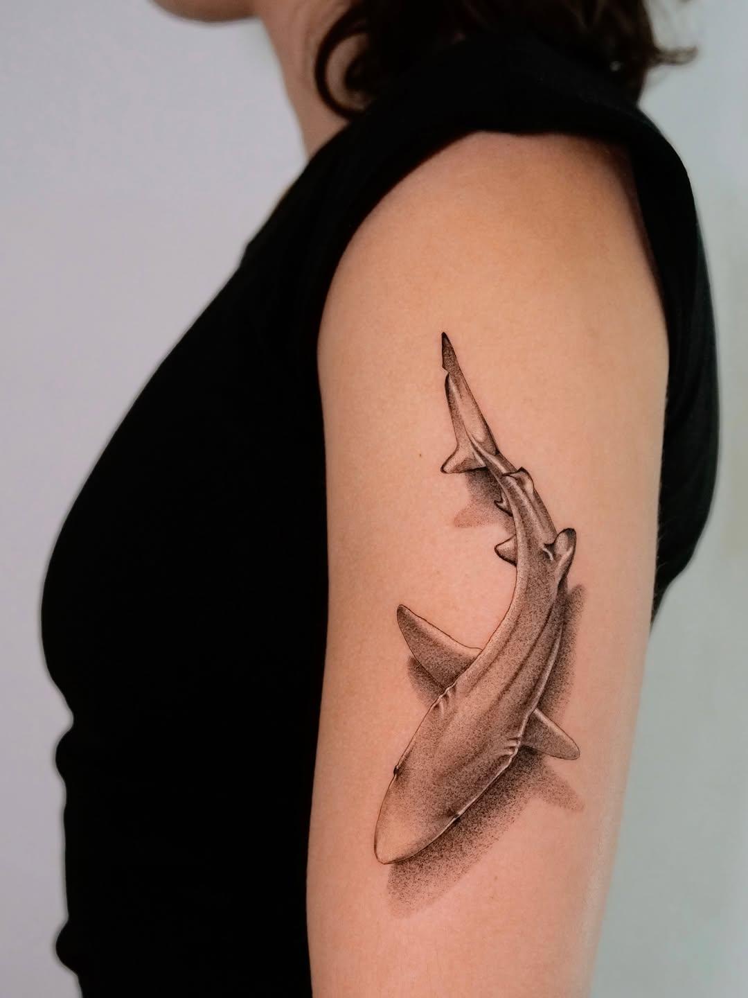 Tatouage requin bleu bras — eklor.ttt