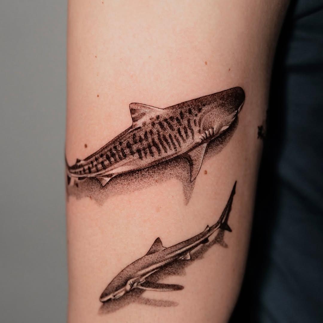 Tatouage requin tigre et requin bleu jambe — eklor.ttt