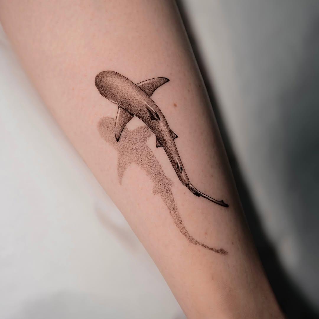 Tatouage requin blacktip jambe — eklor.ttt