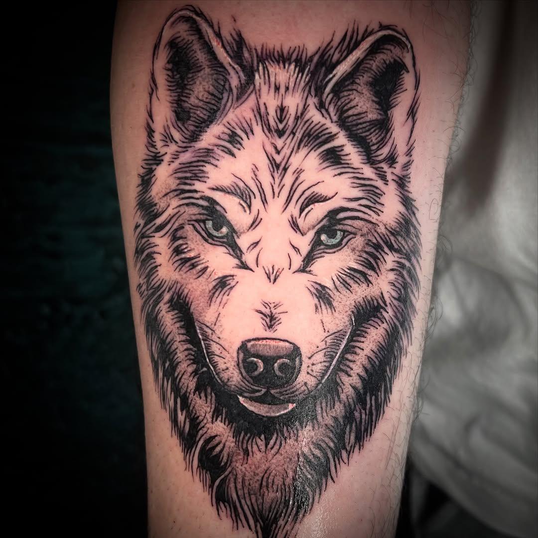 Tatouage loup néo-trad yeux bleus — sylvain_lacogne.ttt