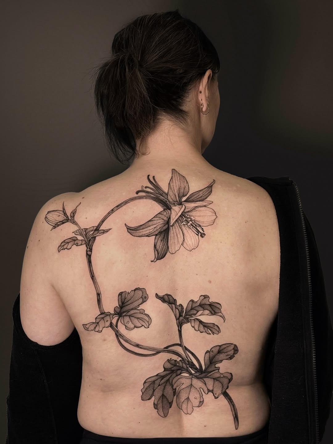 Tatouage ancolie rouge (aquilegia) — aspectgraphite