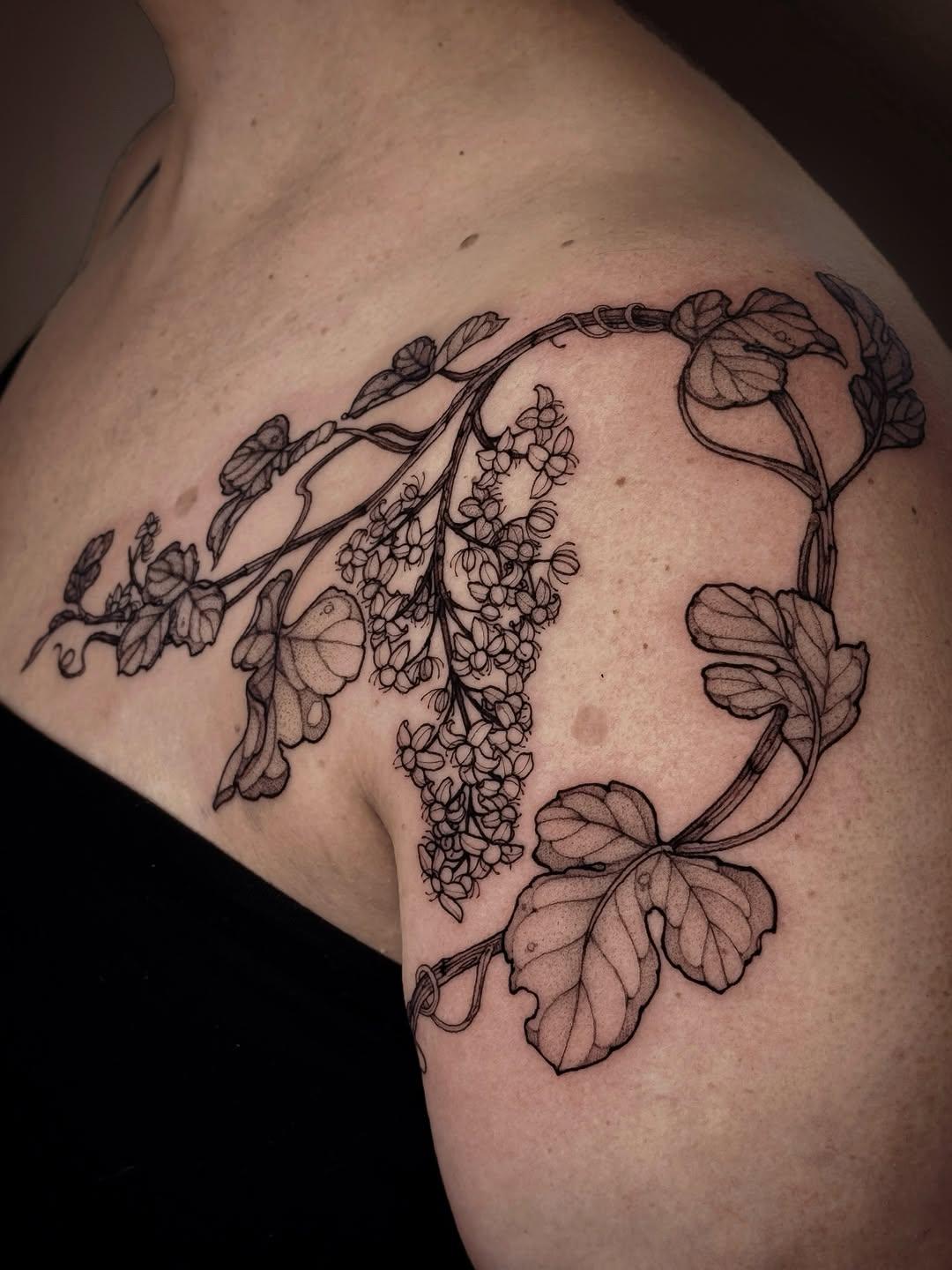 Tatouage vignes (vitis vinifera) — aspectgraphite