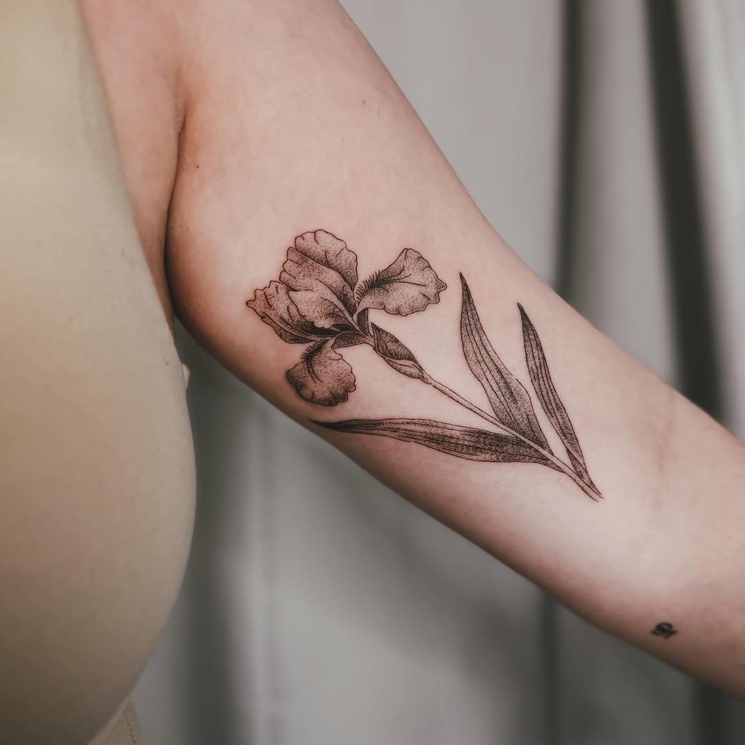 Tatouage Iris versicolore avant-bras — poupeerustre.tattoo