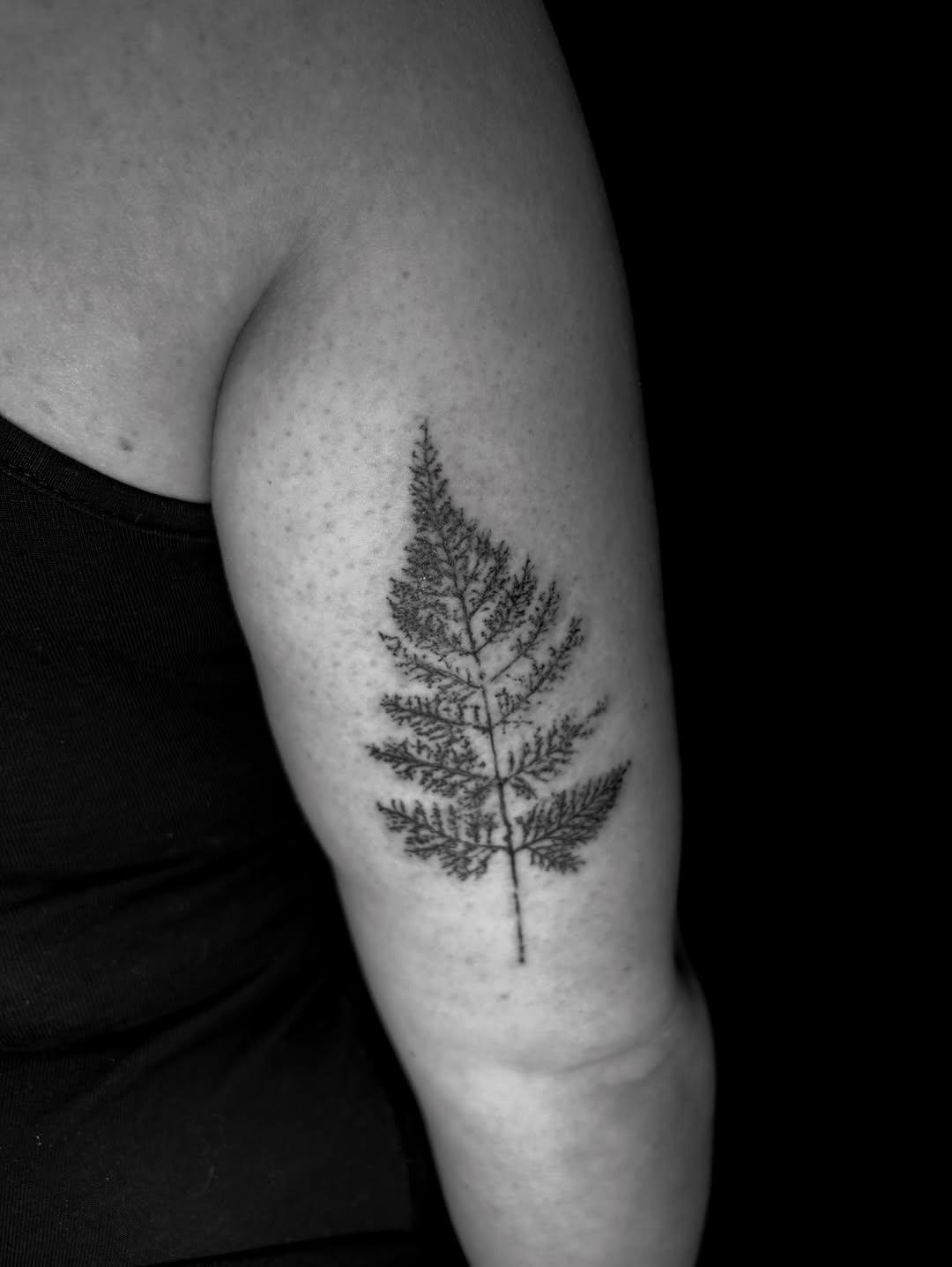 Tatouage Fougère/feuille naturelle bras — steflower_