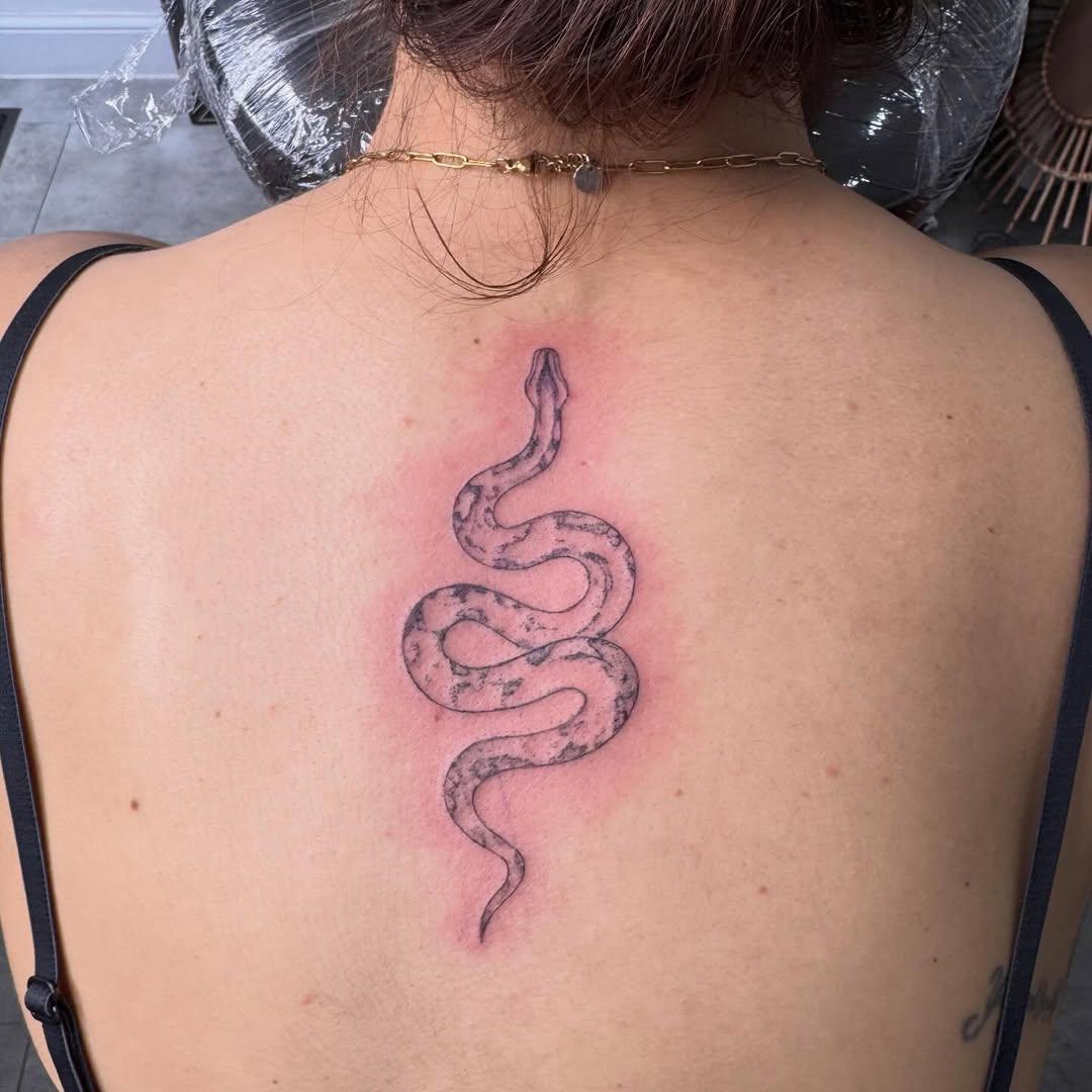 Tatouage serpent dos — tontontatoo_studio151