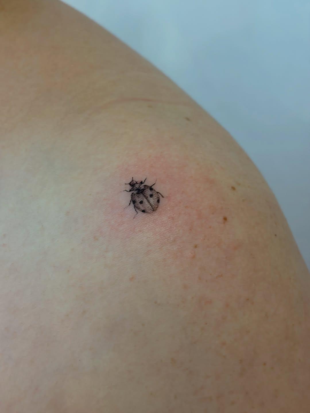 Tatouage coccinelle — valentine_mandarine