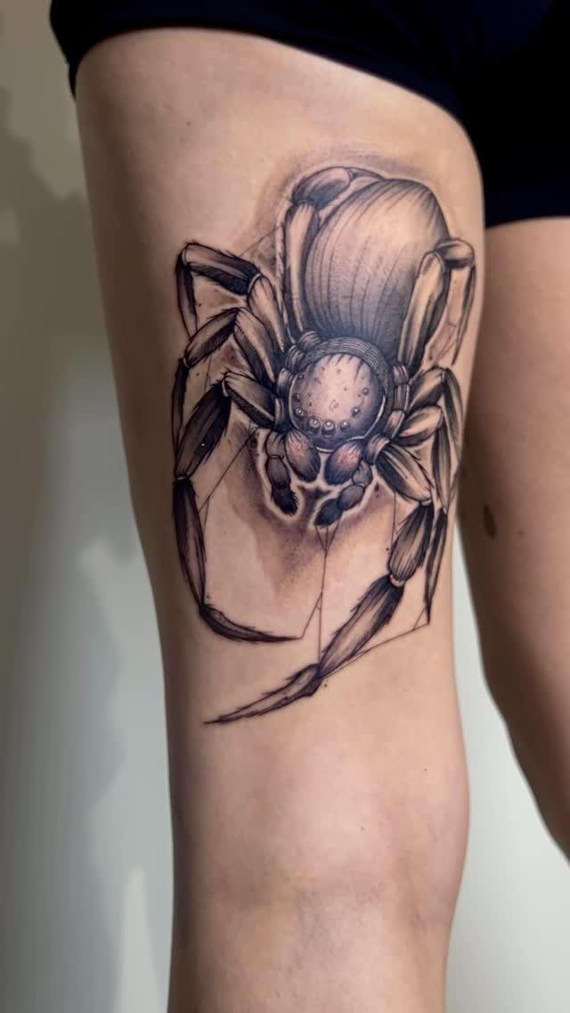 Araignée dark blackwork sketch — ezekiel_tattoo