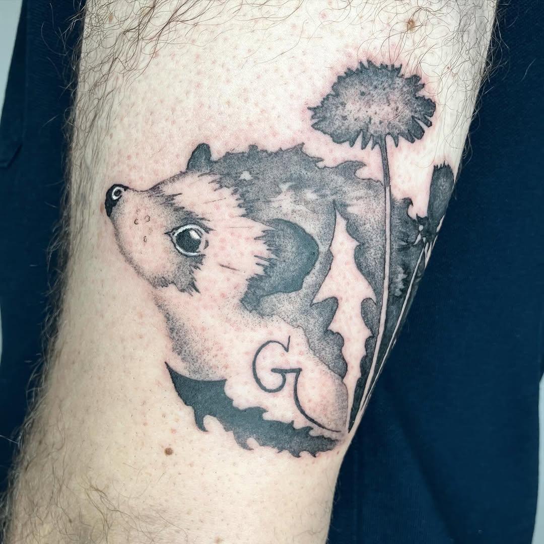 Petit hérisson mignon — lacerise.ttt