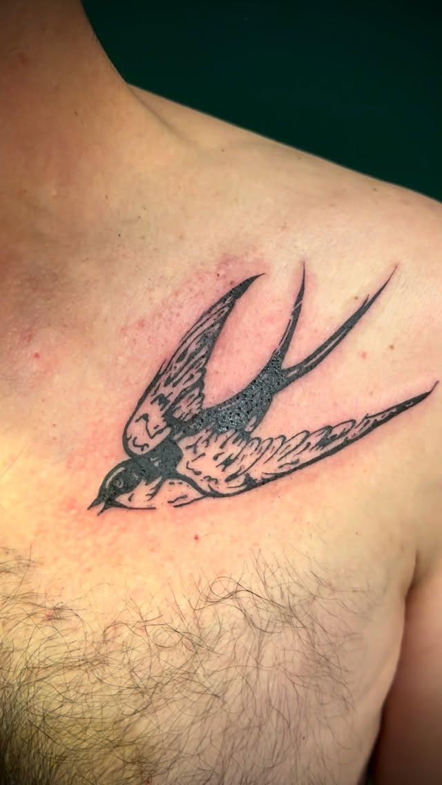Hirondelle blackwork sur le pectoral — eklekt.ink