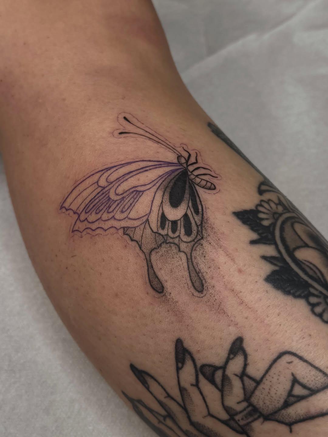 Tatouage papillon fine line effet work in progress — petale.ttt