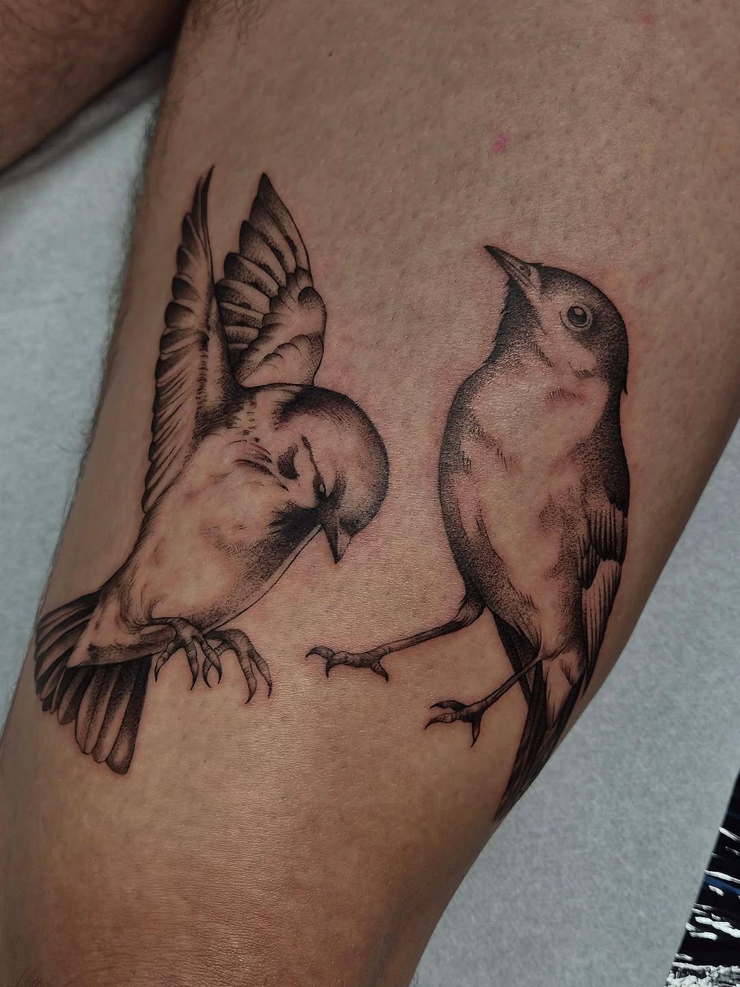 Deux oiseaux en fine line — chardondore