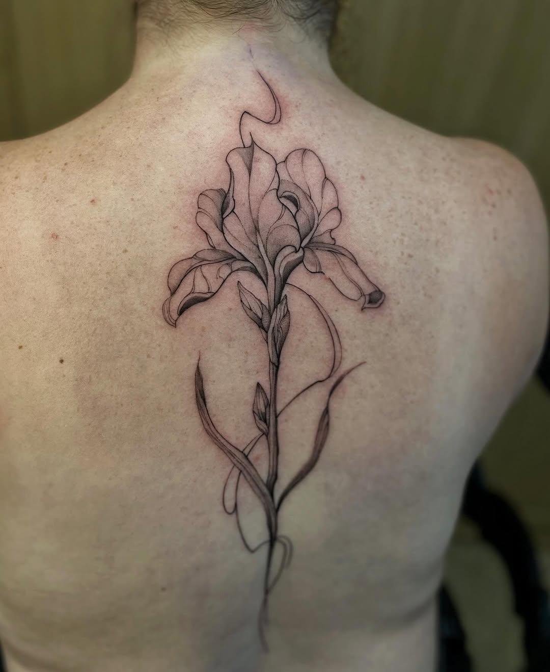 Flash de dos fine line adopté — danbravo.tattoo
