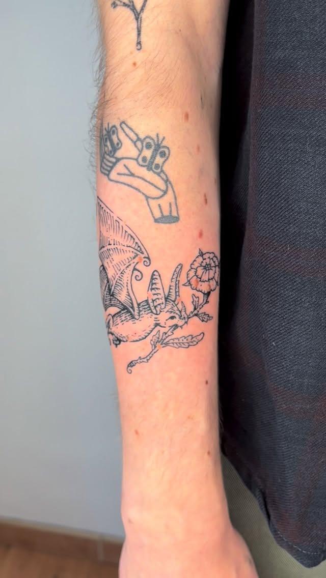 Chauve-souris traditionnelle — ruben.zout
