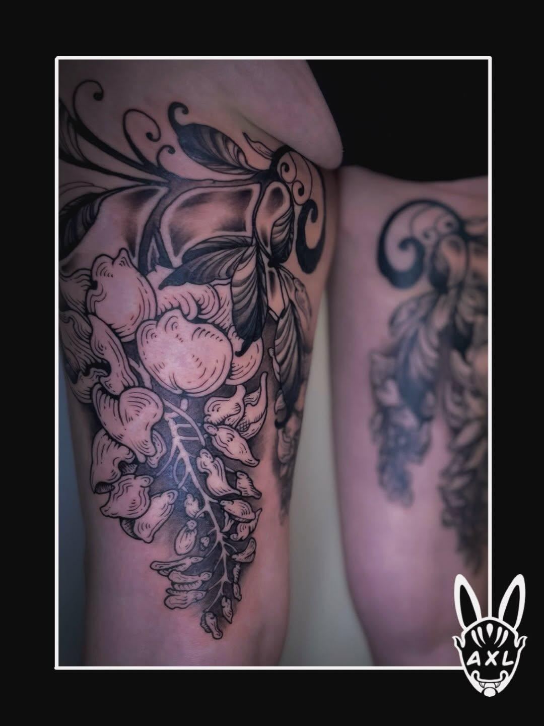 Tatouage glycines ornemental gravure — axlt_art