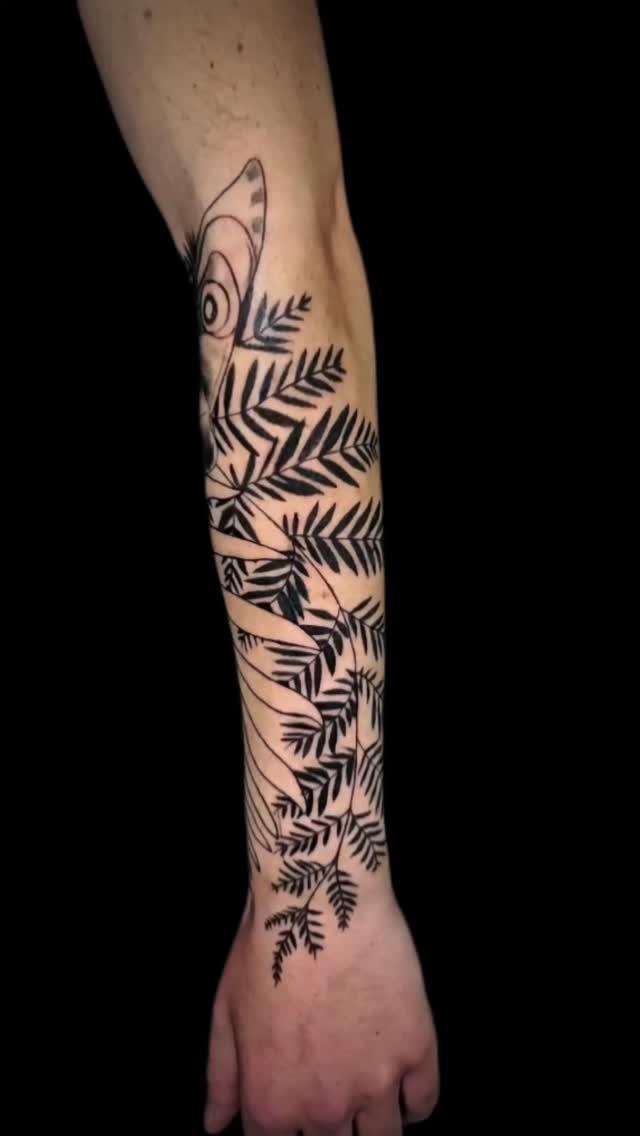 Tatouage fougère blackwork recouvrant des cicatrices — tonieblesk