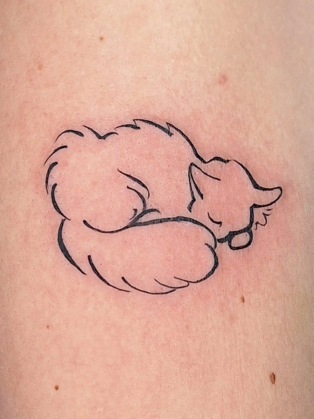 Fine line cat portrait tattoo — memorial tattoo of Neige the cat