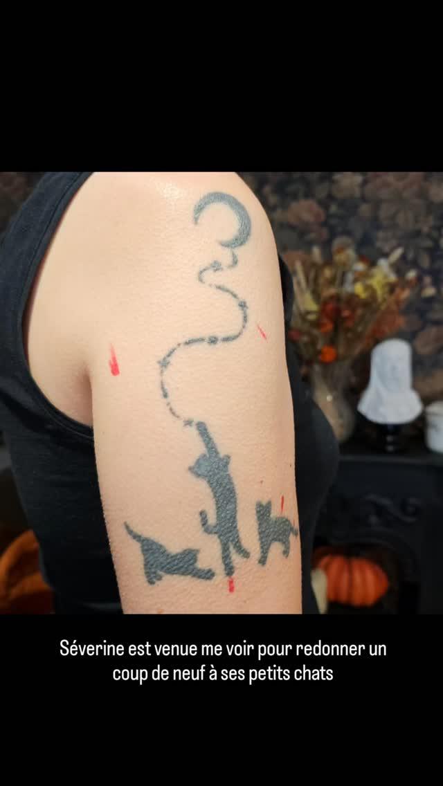 Tatouage chats refresh couverture — __artemisia_absinthium__