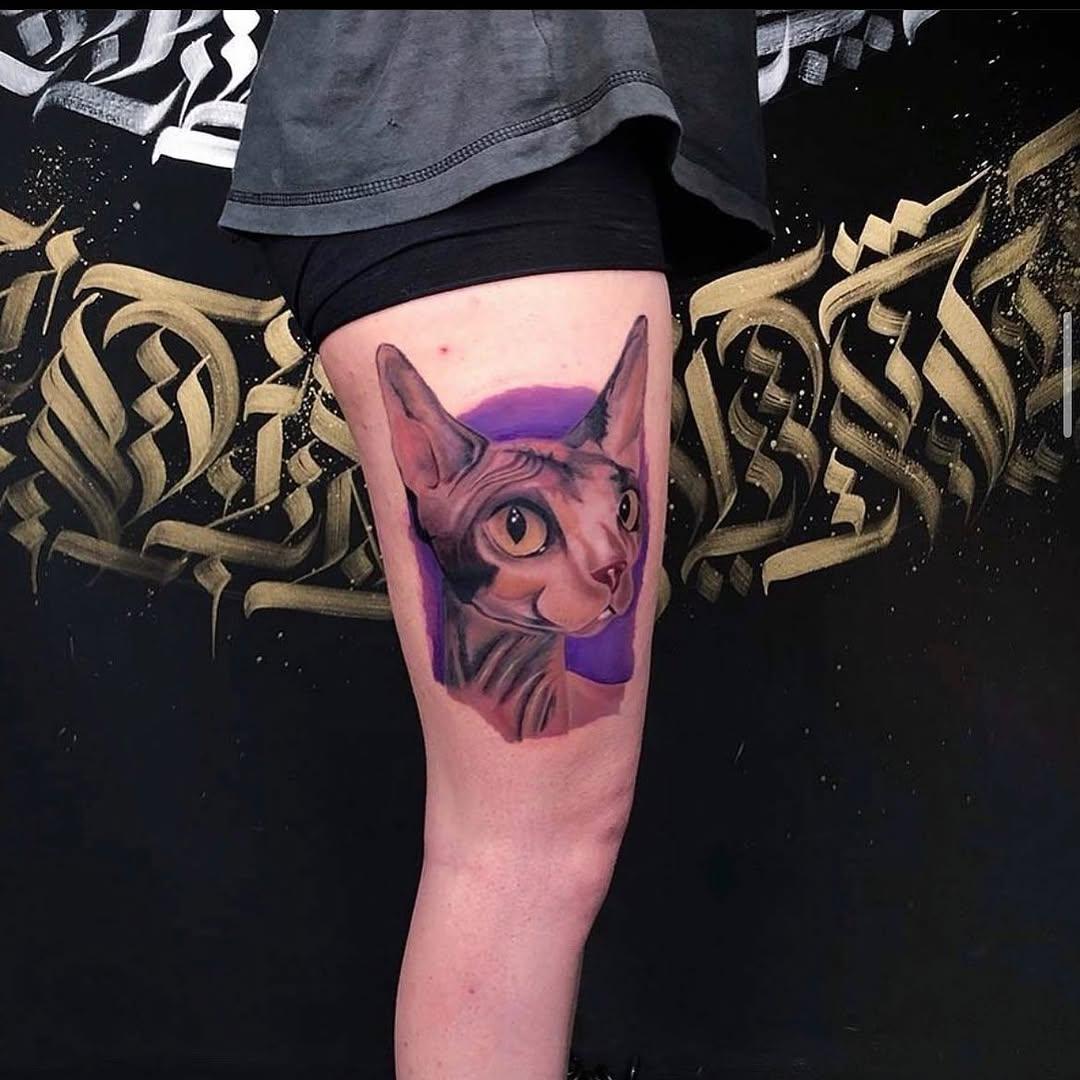 Tatouage Chat sphynx réaliste — dumantattoo