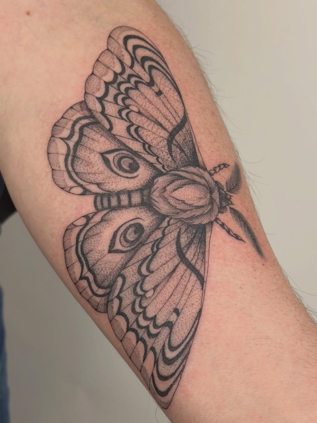 Tatouage Papillon Sphynx — pocahinktas