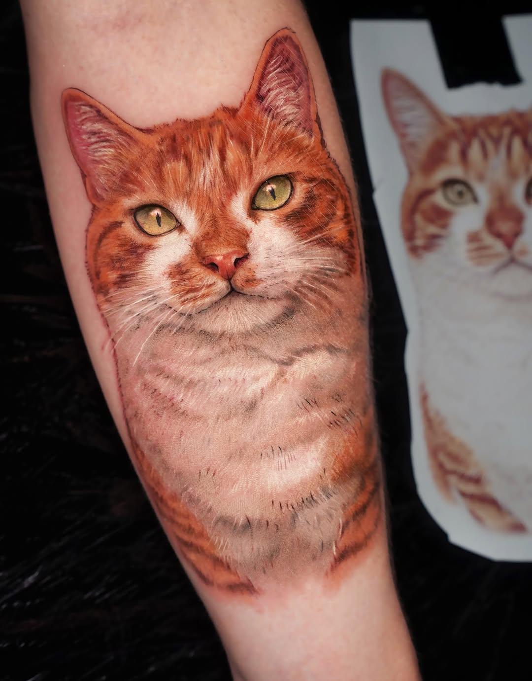 Tatouage Chat roux portrait — michaeltaguet