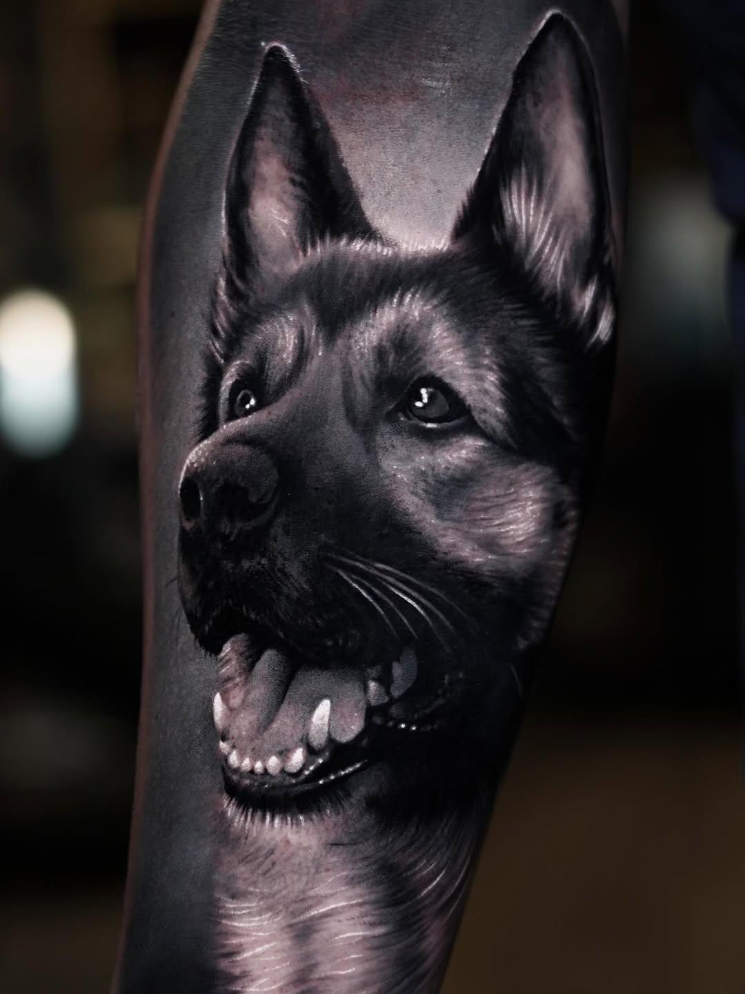 Tatouage Portrait berger allemand — joelalbatattoo