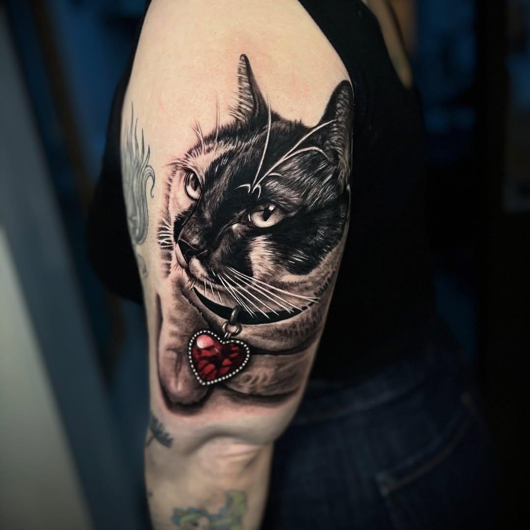 Tatouage Chat réaliste cœur rouge — jeremydavid_tattoo