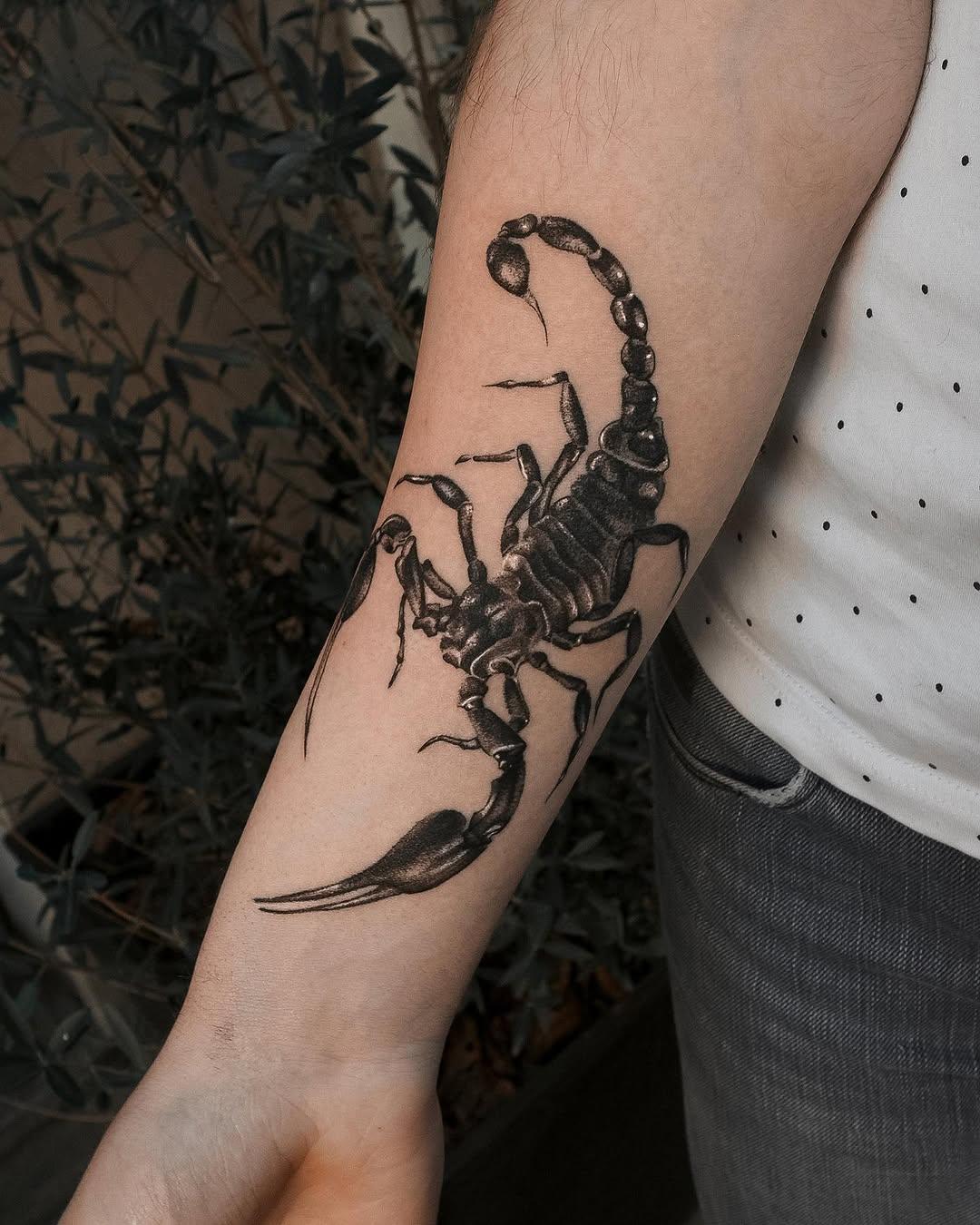 Tatouage Scorpion noir et gris — anser_tattoo