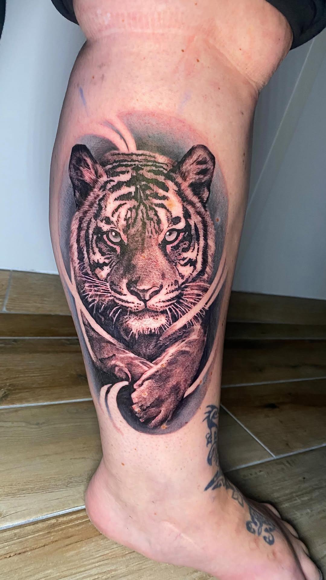 Tatouage Tigre et panthère réalisme — rhum1.tattoo